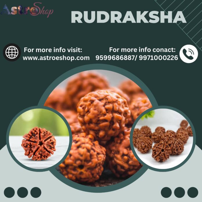 Rudraksha