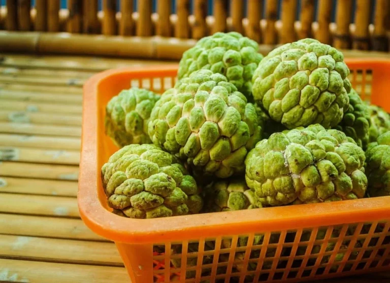 Custard Apples Are Advantageous To Both Sexes.