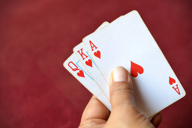 https tiger365 me login