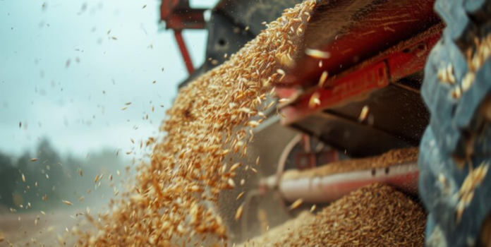 Grain Auger